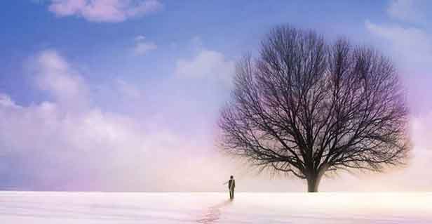 路由器深夜發(fā)瘋：求求你別再把我塞進(jìn)電視柜了！